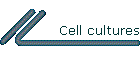 Cell cultures